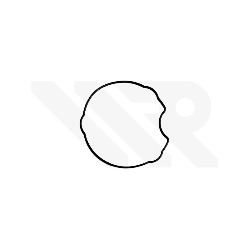 Caseback Gasket